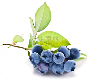 蓝莓,叶子,越橘,水平画幅,绿色,黑刺莓,水果,无人,蓝色,浆果