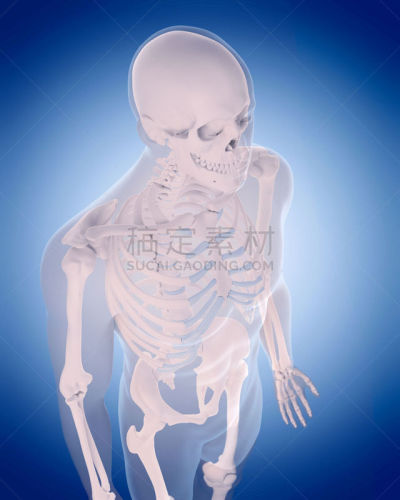 绘画插图,健康保健,胸骨,软骨,生物学,人,人体结构,男人,垂直画幅,图像