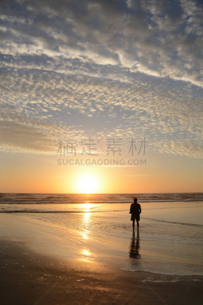 海滩,男人,杰克逊维尔,苦尽甘来,垂直画幅,沙子,早晨,健康,夏天,周末活动