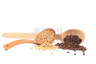 松籽,木匙,褐色,新的,水平画幅,形状,生食,组物体,针叶树