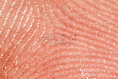 特写,指纹,水平画幅,人类脚趾,拇指指纹,科学实验,科学,真皮层,白人