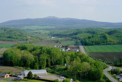 北海道,背景,山,路,埃平森林,松林,天空,里山,夏天,草
