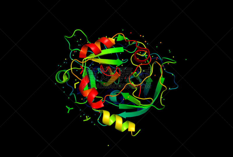 模型,蛋白质,分子,三维图形,生物科技,酸,水平画幅,绘画插图,科学,生物学