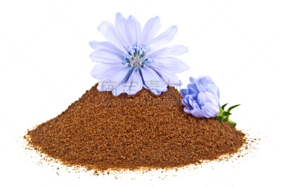 仅一朵花,菊苣,蓝色,白色背景,紧迫,研磨食品,分离着色,creeping bluet,褐色,咖啡生豆