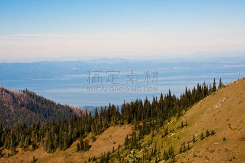 飓风山脊,奥林匹克山,自然,公园,草地,水平画幅,地形,山,无人,户外