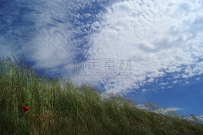 一个物体,斜肌,生物钟,卷层云,大波司咯,拼块地形,卷云,丘陵起伏地形,天空,风