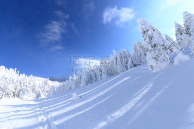 冻结的,巴岳山,软霜,长野县,雾淞,天空,里山,水平画幅,雪,无人