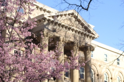 樱花,建筑外部,查普希尔,全国大学生体育协会,校园,天空,美国,水平画幅,绿色