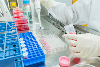 科学家,绝对无尘室,细菌,化学制品,试剂,癌症,干净,不卫生的,安全的,生物学