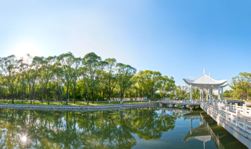 亭台楼阁,黄昏,水,哈尔滨,纯净,夏天,沼泽,湖,完美,旅游预览效果