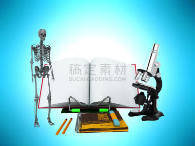 三维图形,概念,生物学,灰色背景,学位帽,重返校园,小学,徽章,水平画幅,智慧