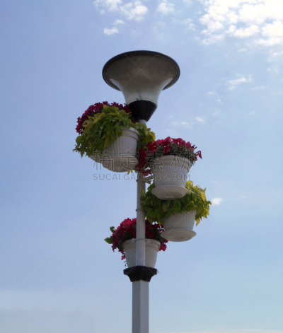 薄荷科,矮牵牛花,花盆,路灯,垂直画幅,天空,形状,无人,园艺,夏天