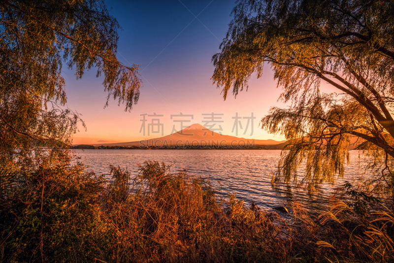 湖,富士山,富士河口湖,日本,秋天,叶子,在上面,船,著名景点,背景