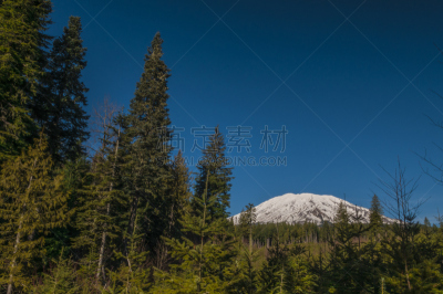 圣海伦火山,白昼,水平画幅,雪,鸟类,热带雨林,户外,特写,山脊