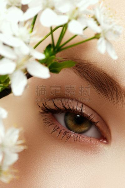 人的眼睛,清新,青年人,时装模特,睫毛膏,垂直画幅,美,褐色,彩妆
