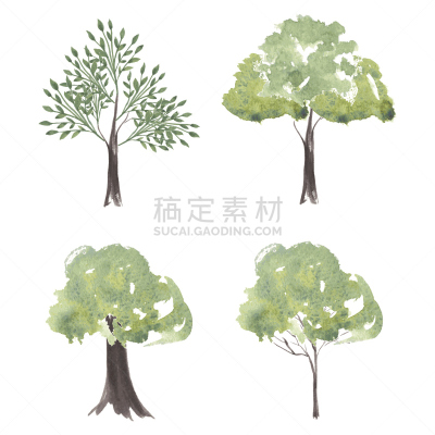 矢量,水彩画,反差,枝繁叶茂,木材着色料,绘画插图,夏天,计算机制图,计算机图形学