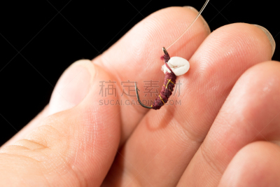 两翼昆虫,手,黑色背景,荆棘,尖利,哈萨克斯坦,红色,背景分离,运动,图像
