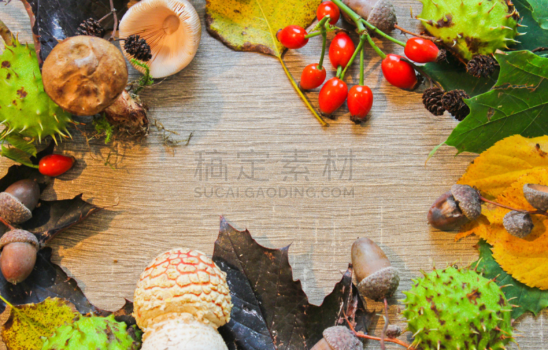 叶子,栗子,秋天,木制,蘑菇,橡树果,静物,背景,褐色,边框