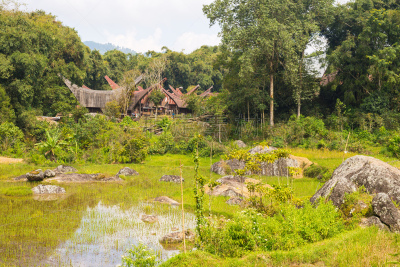 Traditional Toraja village in idyllic landscape