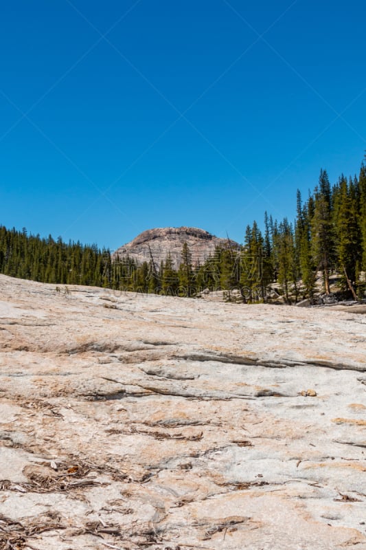 春天,tuolumne meadows,环境,加利福尼亚,自然美,加利福尼亚内华达山脉,河流,夏天,户外,草地