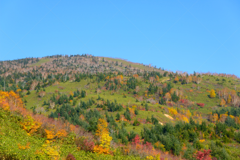 八幡平市,叶子,秋天,山,鹿角市,岩手县,秋田县,天空,美,里山