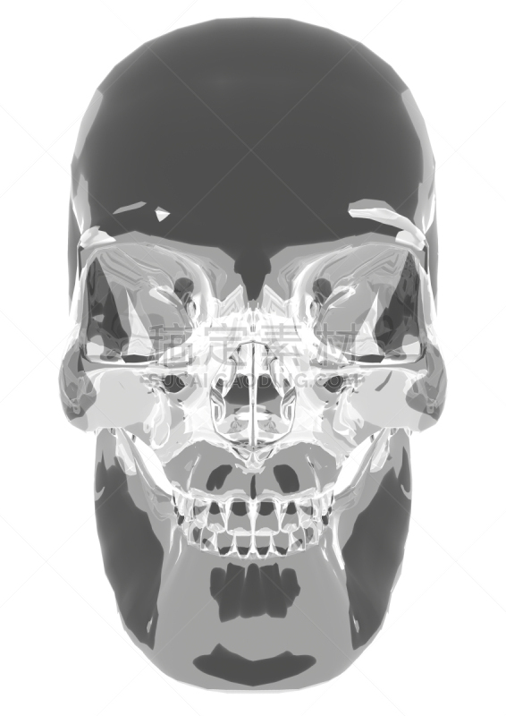 水晶,头骨,三维图形,头皮,土穴,垂直画幅,灵性,人,人头骨
