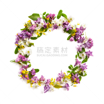 圆形,边框,白色背景,多样,代表,野花,农神庙,黑影照片,山楂