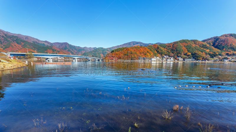 湖,河口湖,富士山,自然,旅游目的地,水平画幅,雪,无人,日本,早晨