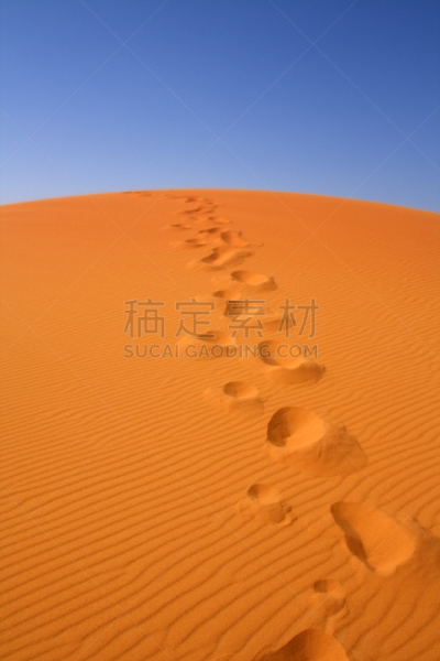 撒哈拉沙漠,西撒哈拉沙漠,鞋印,脚印,热,洞,热带气候,莫鲁加,色彩鲜艳,摩洛哥