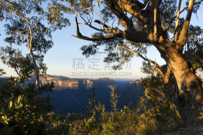 蓝山,大分水岭,峭壁,水平画幅,无人,夏天,户外,明亮,树林,彩色图片