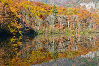 秋天,冈谷,池塘,水平画幅,长野县,无人,日本,户外,山,风景