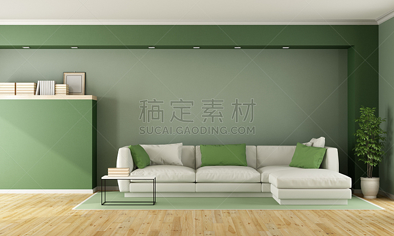 绿色,起居室,极简构图,留白,边框,水平画幅,墙,无人,架子,家具