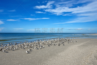 佛罗里达,自然美,海岸线,安娜玛利亚岛,墨西哥湾,水,天空,水平画幅,沙子,无人