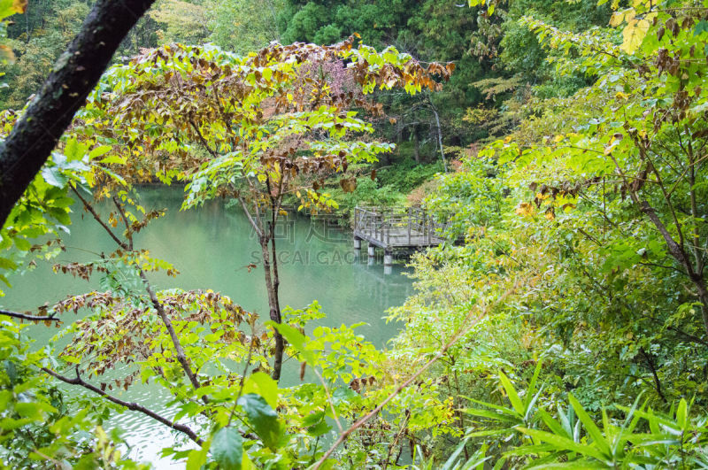 佐阿山脉,秋天,日本,叶子,池塘,季节,山形县,火山湖,东北片区,火山口