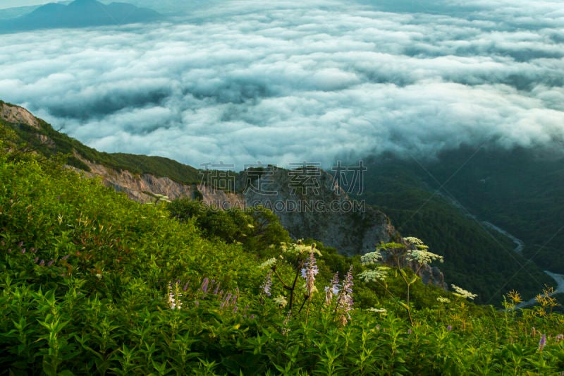 Sea ​​of ​​clouds in Mount Daisen. (Tottori, Japan)