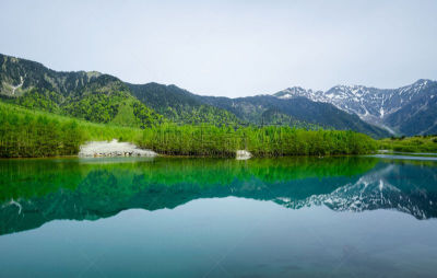 池塘,日本,山脉,长野县,清新,梓川,烧岳,植物,河流,户外