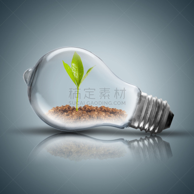 电灯泡,植物,蝴蝶,里面,钨的视觉图,能源,无人,玻璃,灯,电源