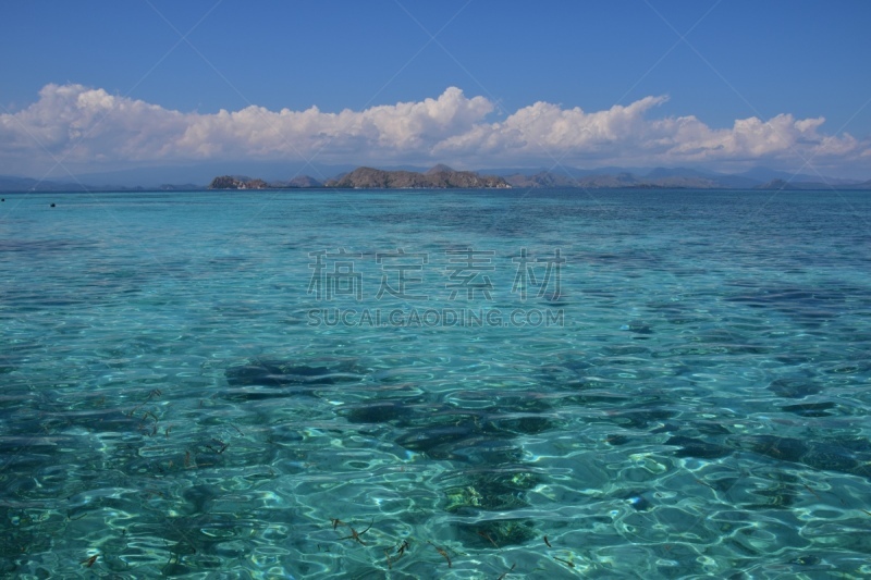 水,蓝色,透明,印度尼西亚,爪哇海,弗罗里斯岛,库莫度,苏门答腊印度尼西亚,婆罗洲岛,青绿色背景
