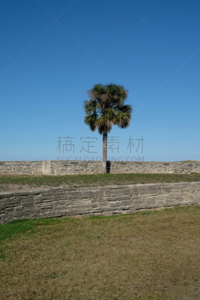圣马科斯堡国家保护区,天空,留白,无人,砖墙,草,棕榈树,绿色,蓝色,住宅房间