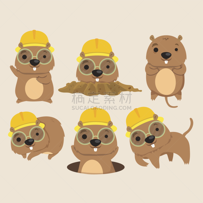 可爱的,鼹鼠,旱獭,洞,背景分离,野生动物,泰国,哺乳纲,动物,园林