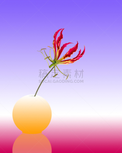 垂直画幅,合成图像,美,形状,绿色,图像处理,非凡的,红色,花,做