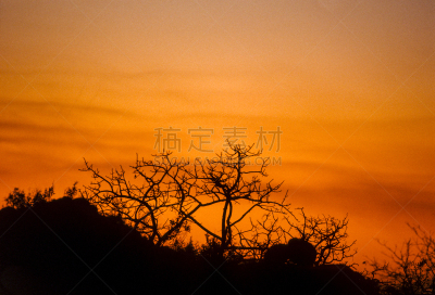 非洲,天空,美,水平画幅,山,夜晚,无人,户外,干的,光