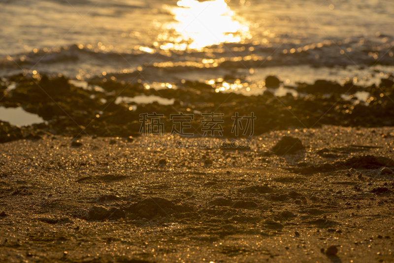 海洋咖啡馆,柑橘花海岸,卡斯特利翁省,曙暮光,海岸线,背景,夏天,户外,天空,自然