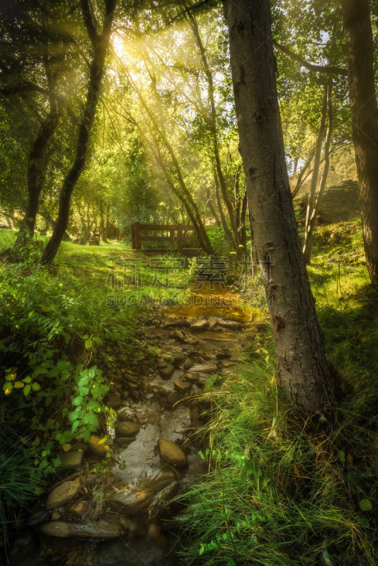 Pequeño rio que baja a través del un bosque otoñal en el termino municipal de Huéneja, en la provincia de Granada (España)