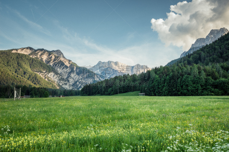 牧场,julian alps,自然美,低视角,天空,水平画幅,云,雪,无人,早晨