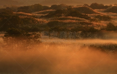 黎明,湿地,水,天空,草原,水平画幅,无人,早晨,沼泽,户外