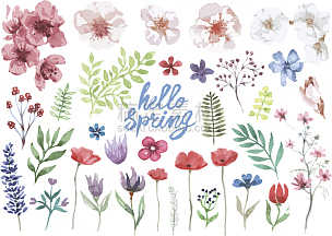 春天,花纹,水彩画,雏菊,水彩画颜料,矢量,枝,彩色图片,简单,保加利亚