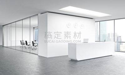 前台,天花板,门厅,住宅房间,空白的,墙,现代,窗户,地板,复式楼