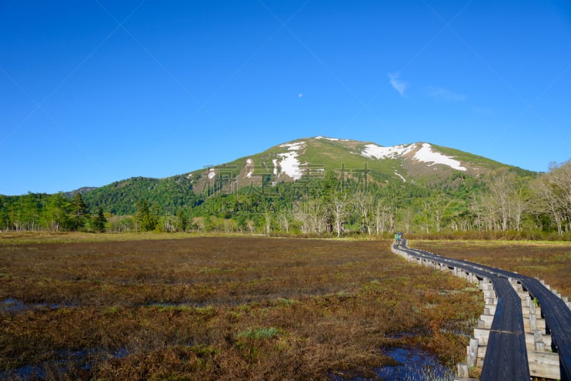 群马县,夏天,日本,早晨,尾濑国立公园,花园路,著名自然景观,美,国家公园,水平画幅