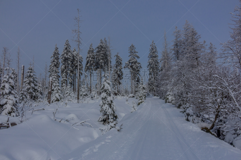 Auf dem Weg durch die schöne Winterlandschaft im Harz